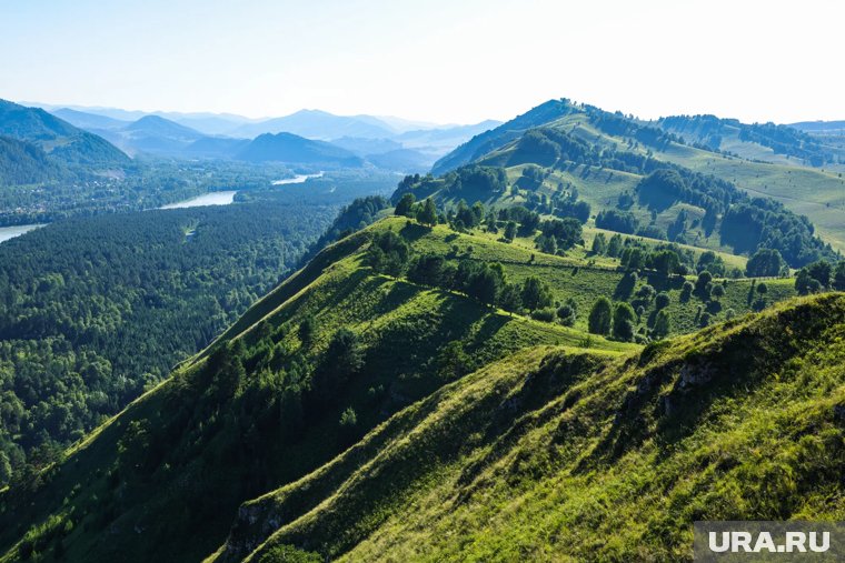 Кто в лес, кто по горам: как тюменские политики провели лето