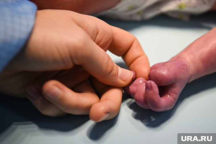 Декретные 2025: как понять, сколько получишь и как увеличить выплату