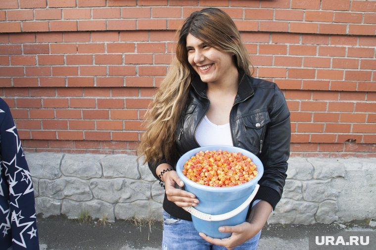 Держателей карты «Морошка» в ЯНАО ждут большие перемены