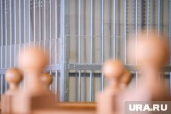 В Пермском крае арестовали активистку за пожертвование ФБК*