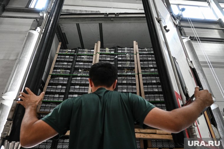 В курганский пул стран-импортеров вошла Колумбия и Эквадор