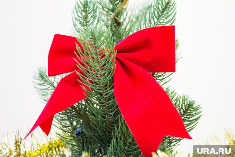 Какие цвета выбрать для елки в 2025 году, чтобы привлечь счастье