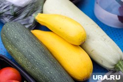 Вкусно и полезно: что стоит приготовить из кабачка