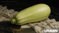 Чем полезны кабачки и как их готовить осенью: мнение геронтолога