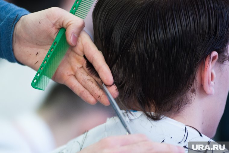 Лунный календарь стрижек декабря 2024: когда лучше стричься