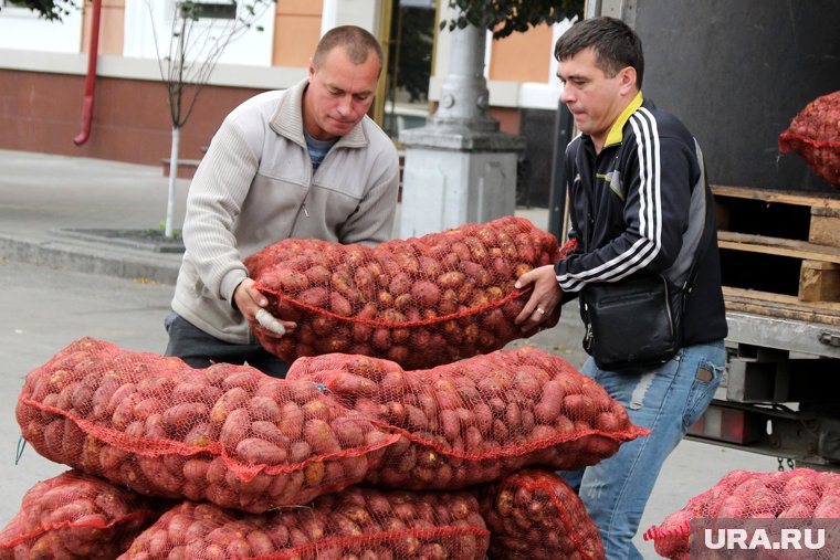 Россию завалили картошкой из Китая и Египта