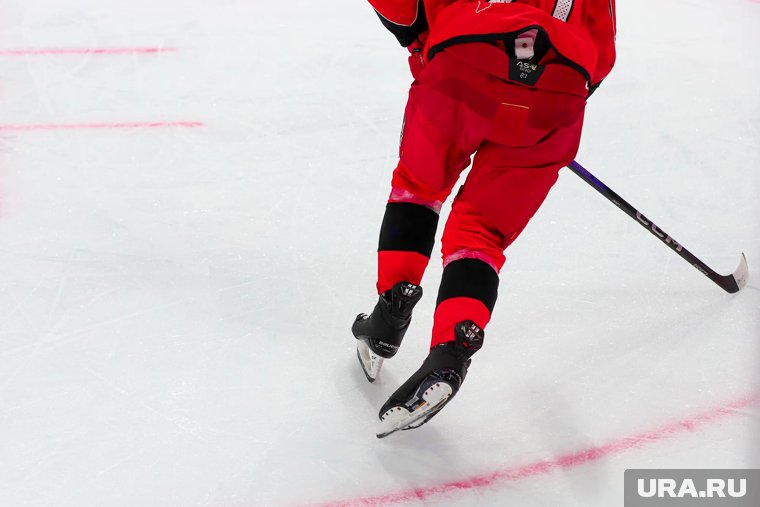 Досье на курганского хоккеиста Гридина, который забил первую шайбу в НХЛ