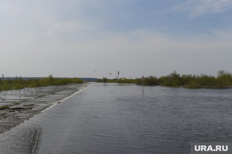 В Тарко-Сале увеличены мощности по откачке воды с затопленных территорий. Видео