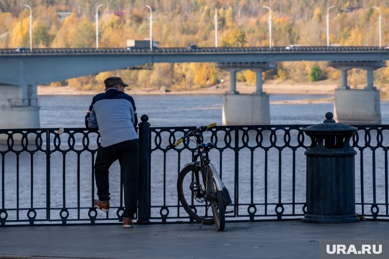 Посчитана пенсия, которую обязаны платить по закону, если ни дня не работал