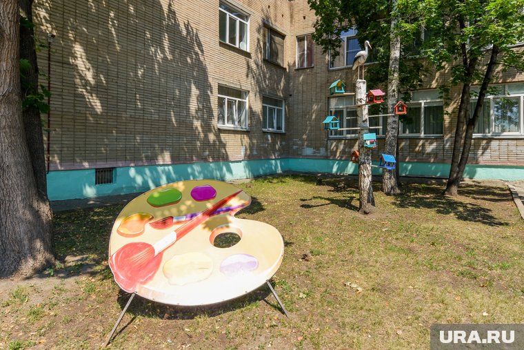 Во дворе детского сада в Челябинской области появился очаг бешенства