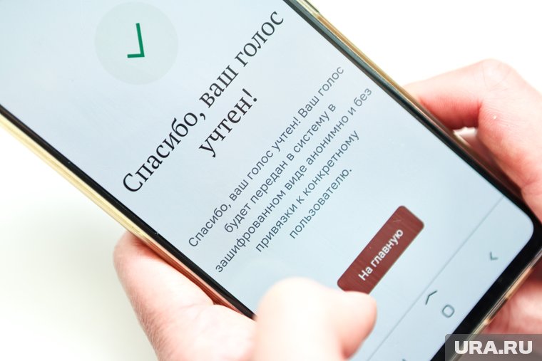 В Пермском крае жители смогут выбрать депутатов с помощью смартфона