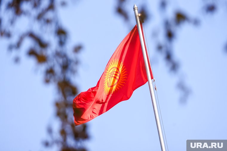 Курганские приставы не выпускали в Киргизию должницу по налогам