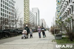 Почему в России не отменяют критерий нуждаемости для многодетных