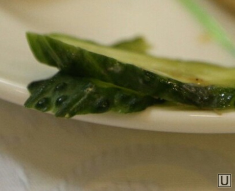 Олимпийский блокнот в раздатке на пресс-конференции Владимира Путина 2013. Москва