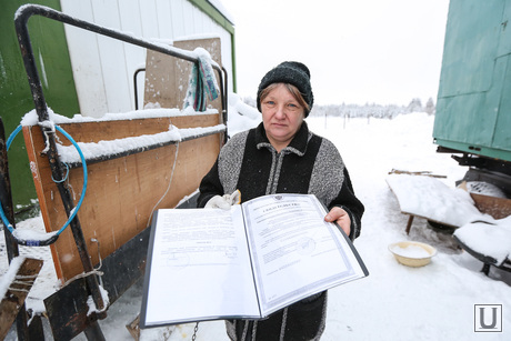 Питомник Лунёвой. Сургут, лунева
